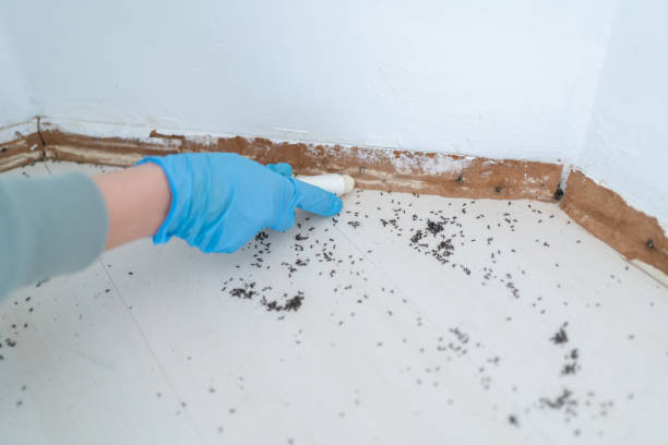 Best Pest Exclusion Services  in Flower Hill, NY